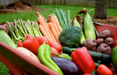 A barrel full of fresh vegetables from a backyard eco friendly garden