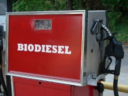 Red biodiesel filling pump