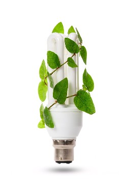 Eco friendly CFL light bulb with ivy plant growing up the side