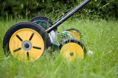 Eco friendly reed push lawn mower