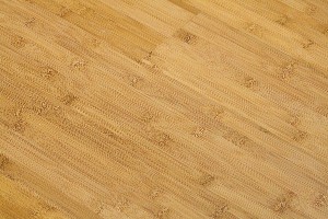 Bamboo flooring sample