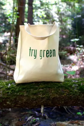 Green eco friendly shopping bag made of organic cotton